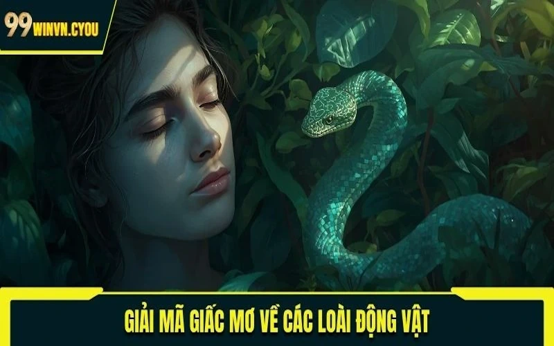 Giải mã giấc mơ về loài rắn để tìm lô tô tiềm năng 