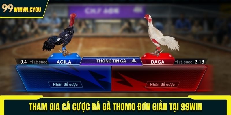Tham gia cá cược đá gà Thomo đơn giản tại 99WIN