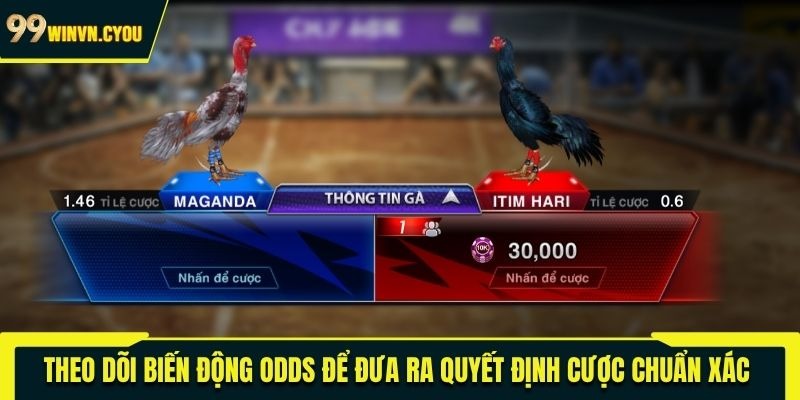 Theo dõi biến động odds để đưa ra quyết định cược chuẩn xác 