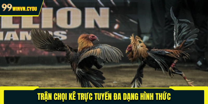 Đá gà 99WIN uy tín và chuyên nghiệp top 1